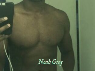 Noah_Grey