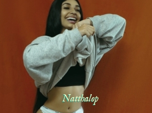 Natthalop