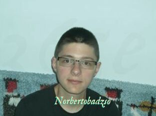 Norbertobadzso