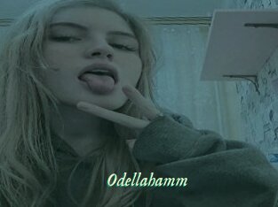 Odellahamm