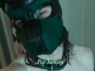 Pup_Samson