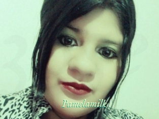 Pamelasuite