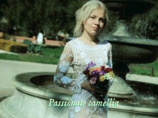 Passionate_camellia