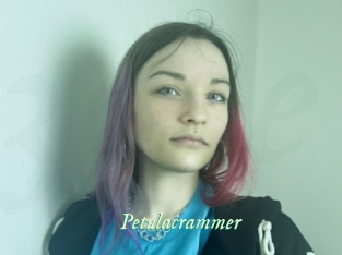 Petulacrammer