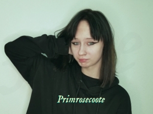 Primrosecoote