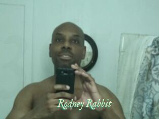 Rodney_Rabbit