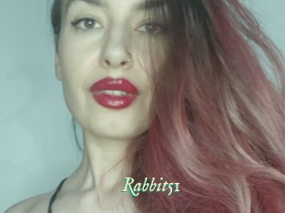 Rabbit51