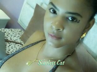 Scarlett_Cat