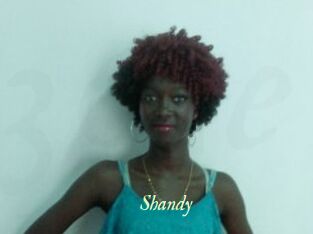 Shandy