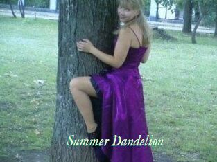 Summer_Dandelion