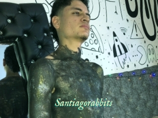 Santiagorabbits