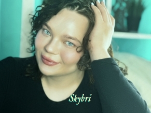 Skybri