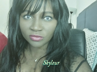 Skyleur