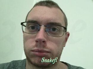 Snakefl