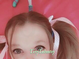 TinyTabootoy