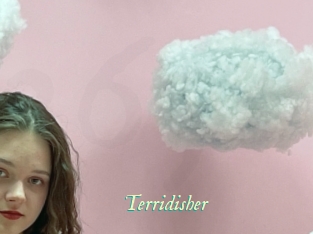 Terridisher