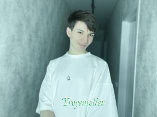 Troyemellet