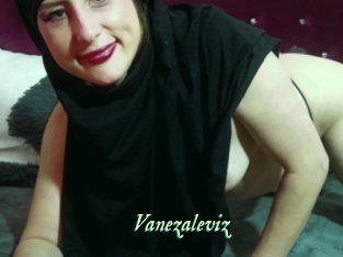 Vanezaleviz