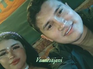 Vannesajavi