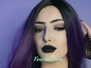 Venenadivina