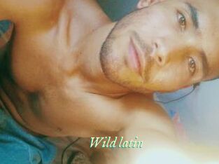 Wild_latin