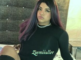 Zoemiiuller